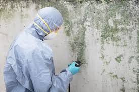 Best Mold Remediation for Vacation Homes  in USA